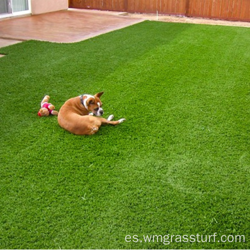 Césped de paisaje sintético para mascotas de 40 mm de buena calidad